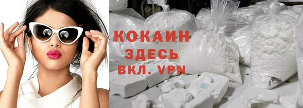 крисы Ельня