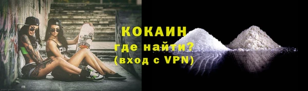 крисы Ельня