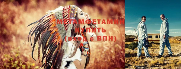 крисы Ельня