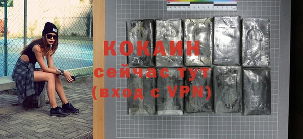 крисы Ельня