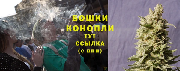 ПСИЛОЦИБИНОВЫЕ ГРИБЫ Видное