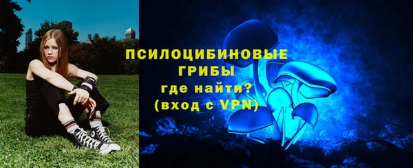 крисы Ельня