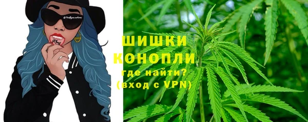 крисы Ельня