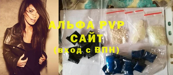 крисы Ельня
